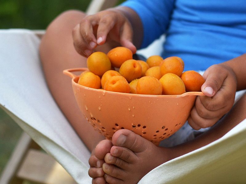 БАМБУКОВАЯ ПОСУДА - БЕЗОПАСНА ДЛЯ ДЕТЕЙ